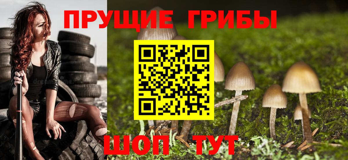 Галлюциногенные грибы Magic Shrooms Кострома