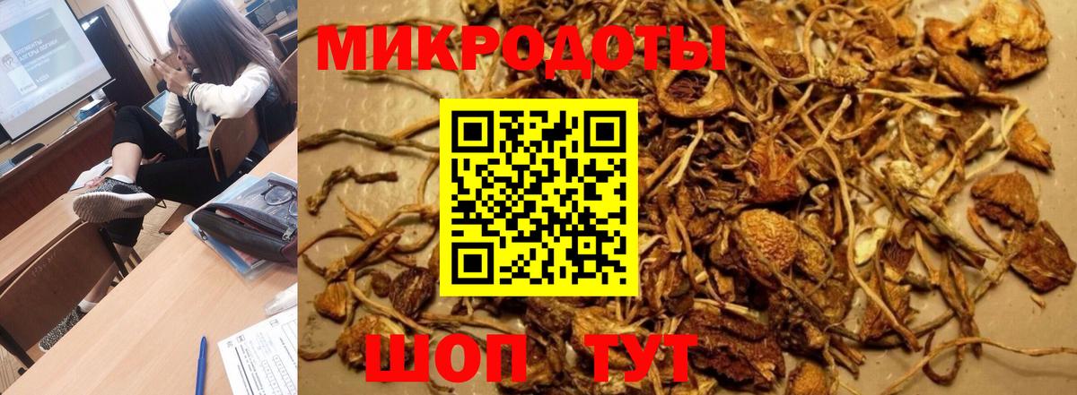 Кострома  Галлюциногенные грибы прущие грибы  Вход с VPN  Псилоцибиновые грибы MAGIC MUSHROOMS 